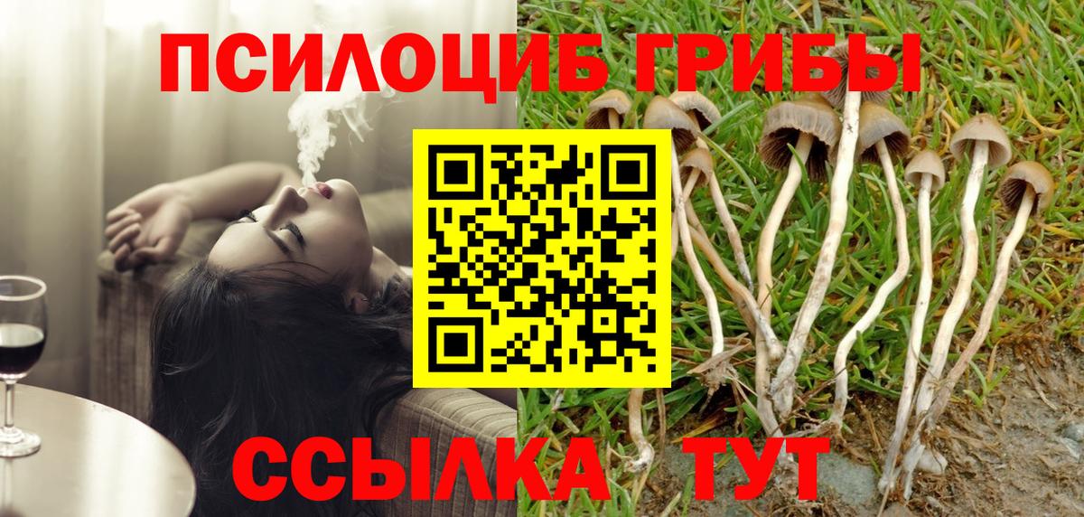Алейск  Галлюциногенные грибы Magic Shrooms  хочу наркоту  Вход с VPN 